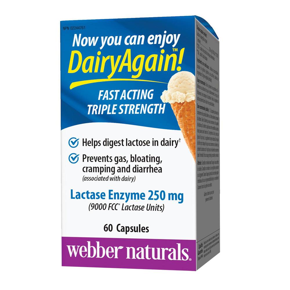 Webber Naturals - Dairy Again! Lactase Enzyme