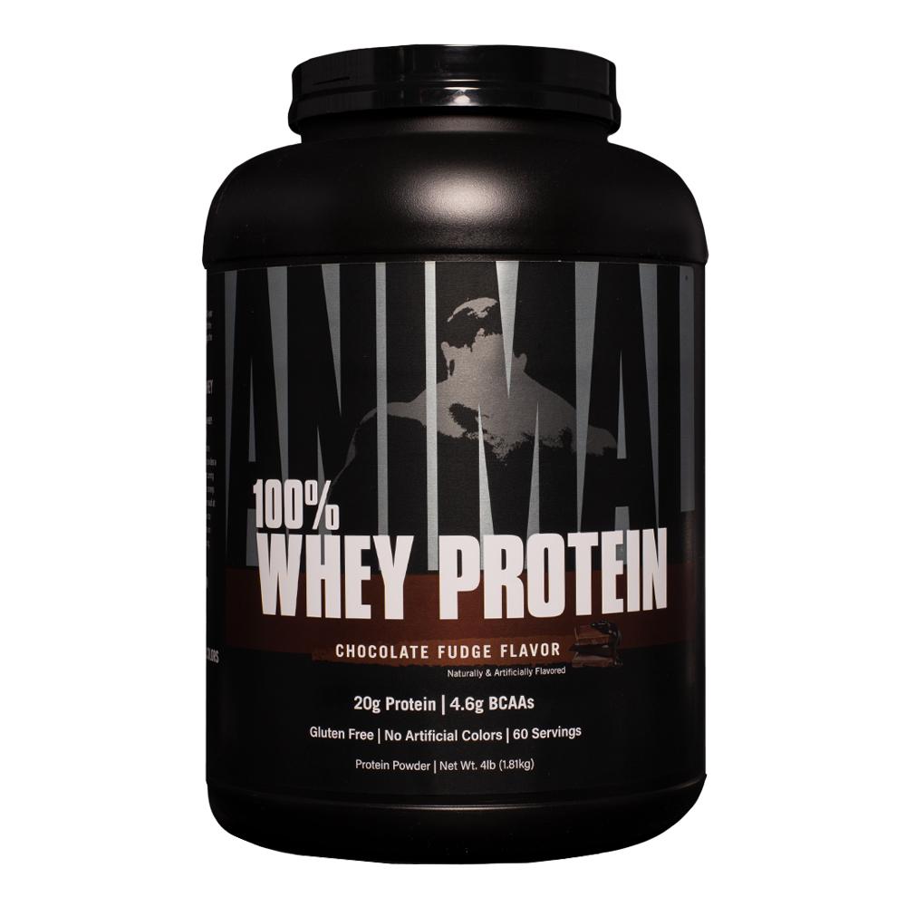 Animal Nutrition - 100% Whey Protein Image