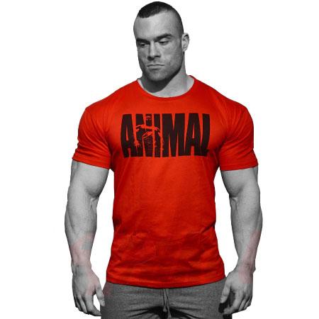 Universal Nutrition Animal Iconic T-shirt Red