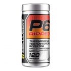 CELLUCOR P6 RIPPED