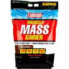 Labrada Muscle Mass Gainer - S