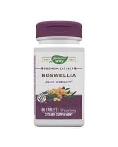 Natures Way - Premium Extract Boswellia