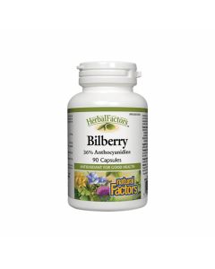 Natural Factors - Bilberry 36% Anthocyanidins