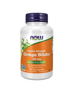 Now Ginkgo Biloba Double Strength 120 mg